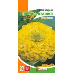 Цинiя Ранкова пташка, (насіння 0,5г)