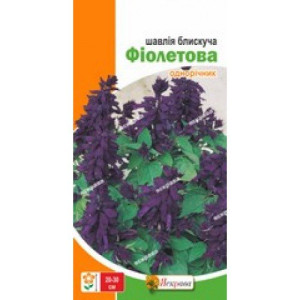 Шавлия Фиолетовая (семена 0,2г)