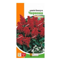 Шавлія червона, (насіння 0,1г)