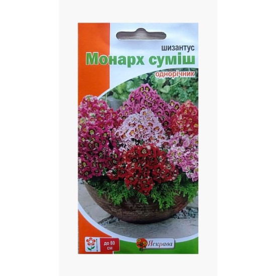Шизантус Монарх, суміш забарвлень (насіння 0,3г)
