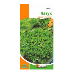 Салат листовий Латук, (насіння 1,5г)