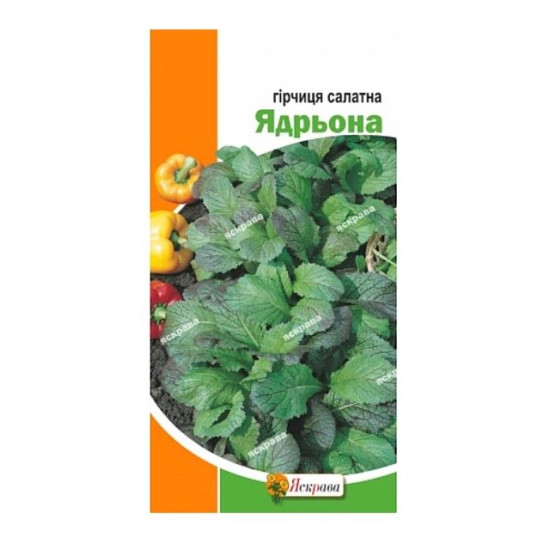 Гірчиця салатна Ядрьона (насіння 2г)