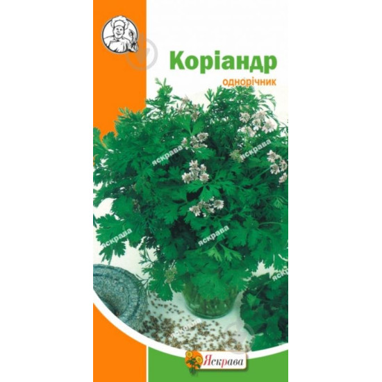 Кориандр (семена 10г)