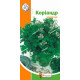 Кориандр (семена 10г)