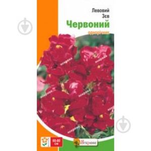 Левовий Зев червоний (насіння 0,2г)