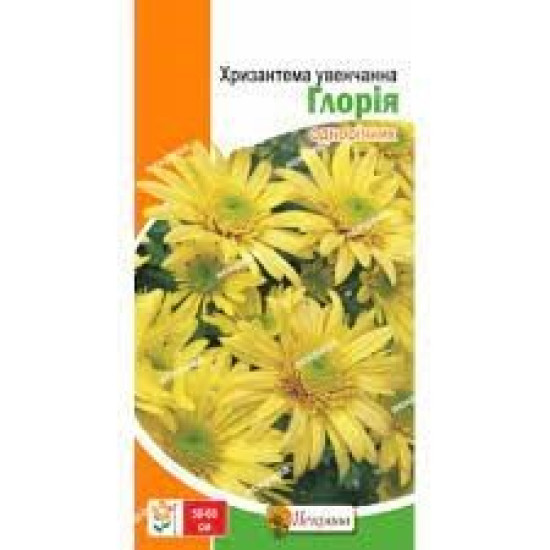 Хризантема Глория (семена 0,3 г)