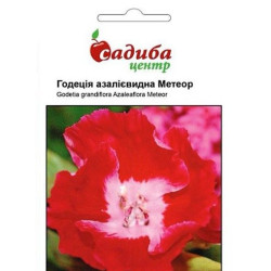 Годеція азалієвидна Метеор, (насіння 0,2 г)