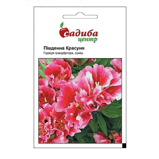 Годеция грандифлора Южная Красавица, (семена 0,2 г)