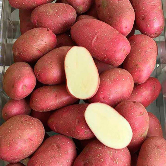 Картошка Торнадо, 1 кг
