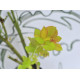 Комплект з двох троянд Снігова королева