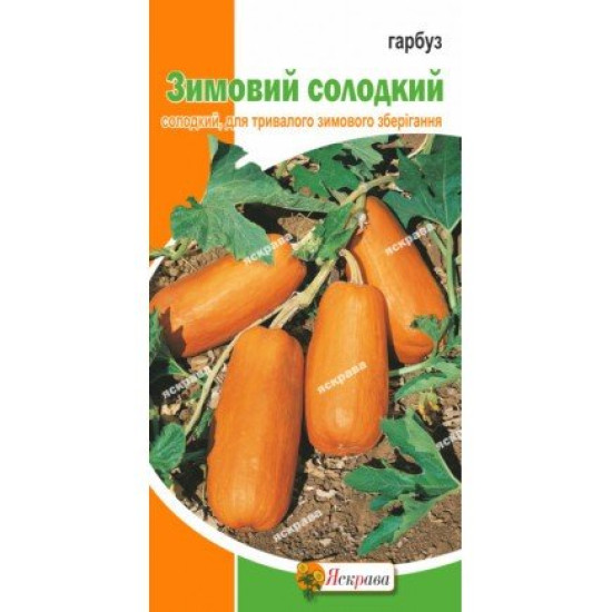 Гарбуз Зимовий солодкий (насіння 2 г)