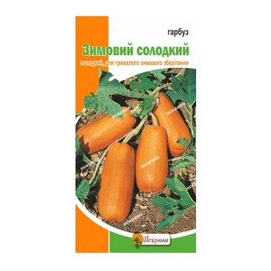 Гарбуз Зимовий солодкий (насіння 2 г)