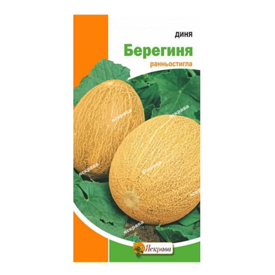 Диня Берегиня (насіння 2 г)