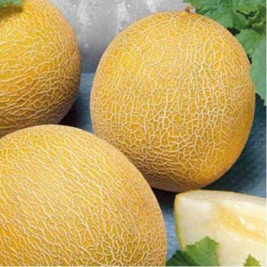 Диня Берегиня (насіння 2 г)