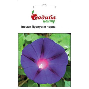 Ипомея Пурпурно-черная (семена 0,5 г)