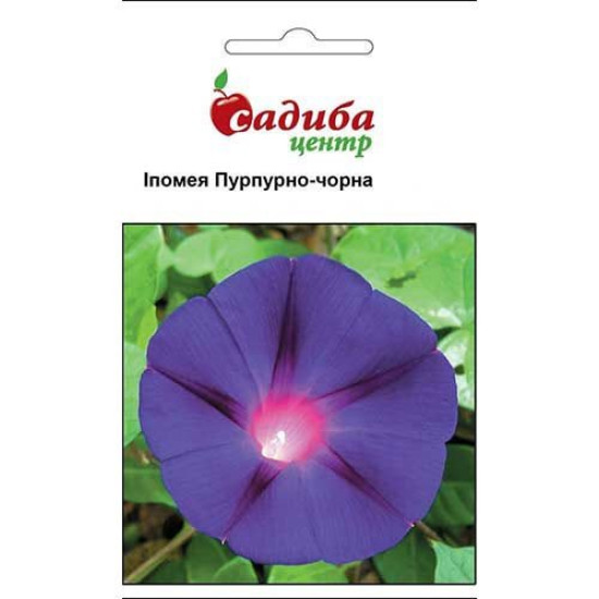 Іпомея Пурпурно-чорна (насіння 0,5 г)