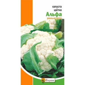 Капуста цвітна літня Альфа (насіння 0,3 г)