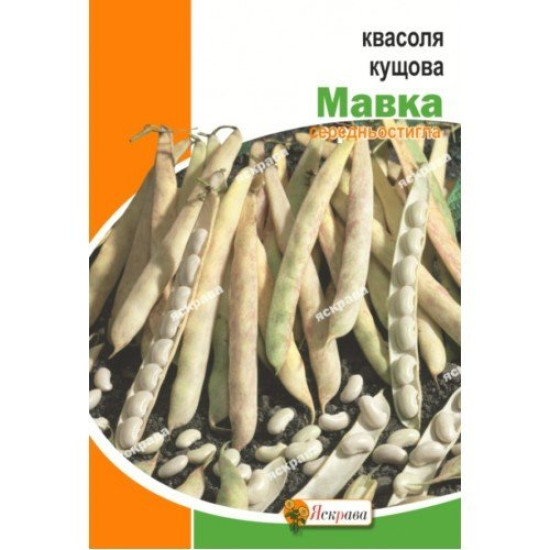 Квасоля кущова Мавка (насіння 30 г)