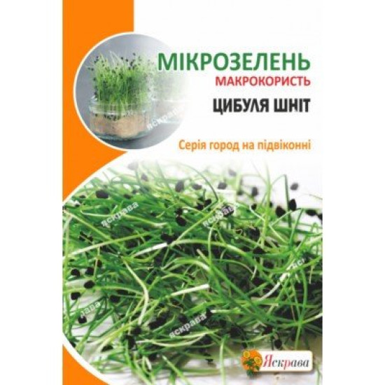 Мікрозолень Цибуля Шніт (насіння 8 г)
