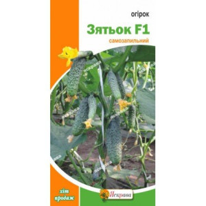 Огірок Зятьок F1 (насіння 0,3г)