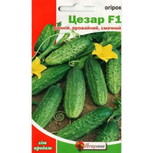 Огiрок Цезар F1 (насіння 0,5 г)