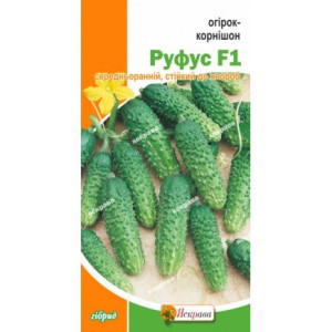Огiрок-корнішон Руфус F1 (насіння 0,5 г)