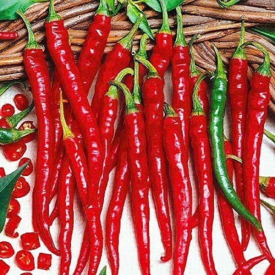 Перець гострий Рокіта (насіння 0,3 г)