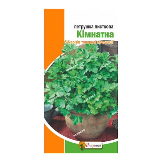 Петрушка листкова Кімнатна (насіння 2 г)