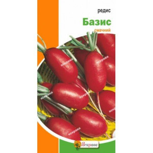 Редис Базис (насіння 3 г)