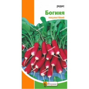 Редис Богиня (насіння 3 г)
