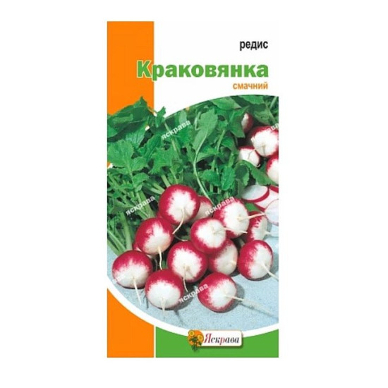 Редис Краковянка (насіння 3 г)