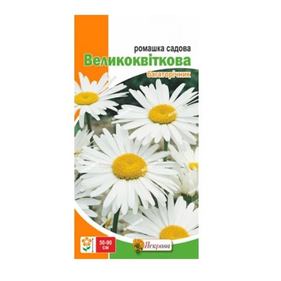 Ромашка садова велика бiла багаторiчна (насіння 0,3 г)