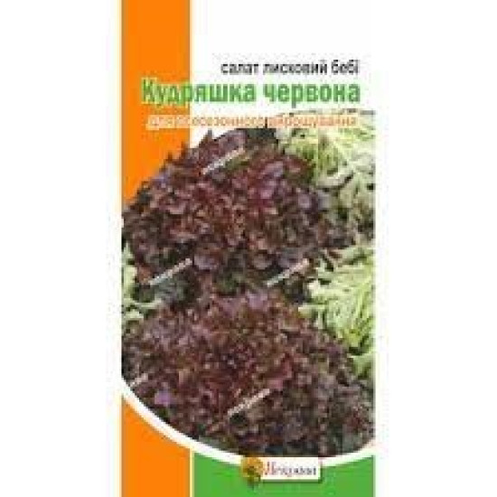 Салат лисковий бебі Кудряшка фіолетова (насіння 1г)