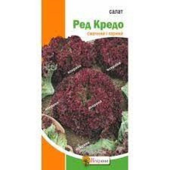 Салат Ред Кредо (насіння 1 г)