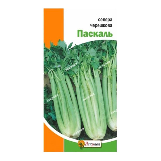 Селера черешкова Паскаль (насіння 0,5 г)