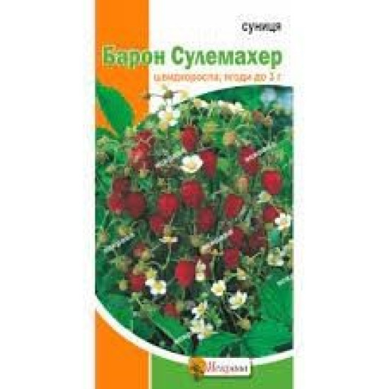 Суниця Барон Сулемахер (насіння 0,1 г)