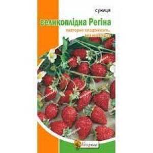Земляника Регина гигантская (семена 0,1 г)