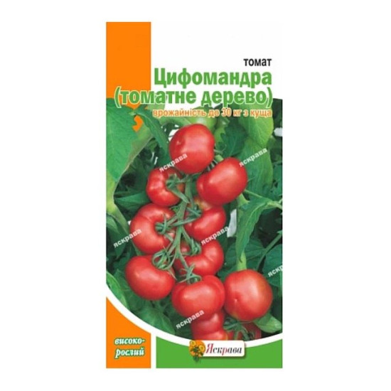 Томат Цифомандра (насіння 0,1 г)
