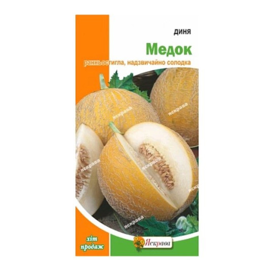 Диня Медок, (насіння 2г)